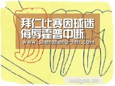 拜仁比赛因球迷侮辱霍普中断_德甲50+1是什么:华体会官方入口(图1) 华体会官网