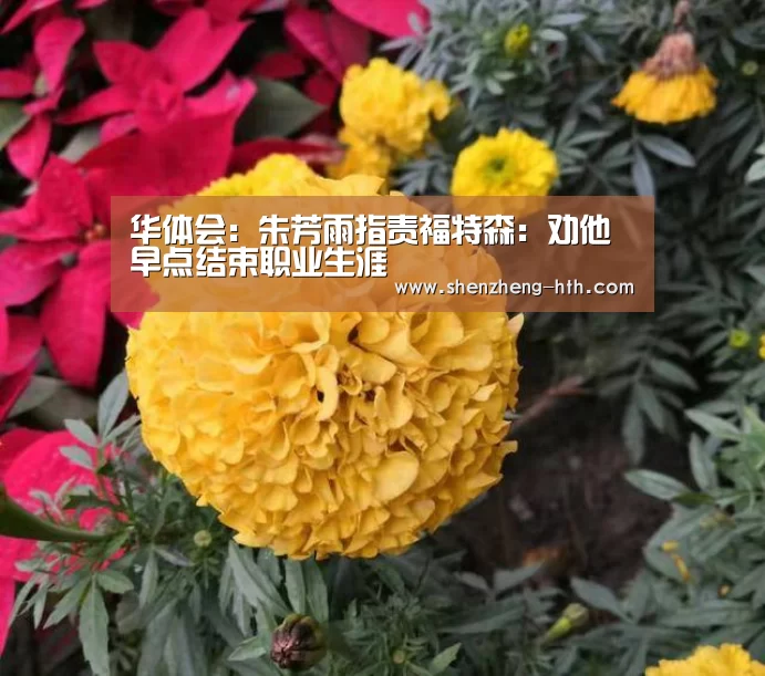 华体会